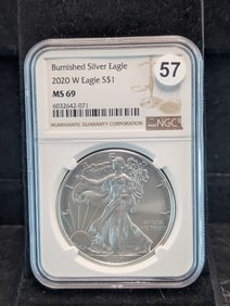 2020 W Burnished American Silver Eagle MS 69 by NGC