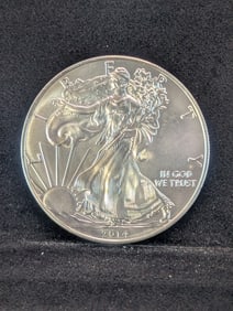 2014 Silver Eagle