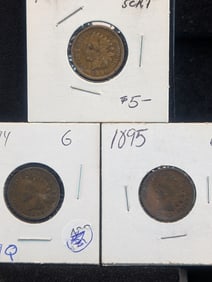 1894, 95, 96 Indian Head Cents