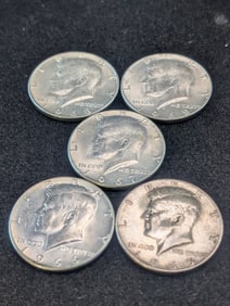 1965, 1966, 1967, 1968-D, & 1969-D Kennedy Half Dollars. 40% Silver.