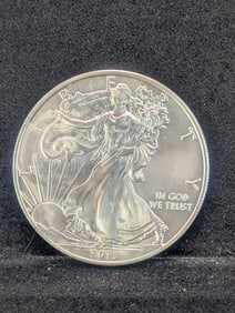 2013 Silver Eagle