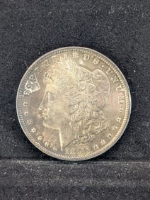 1896 Morgan Dollar