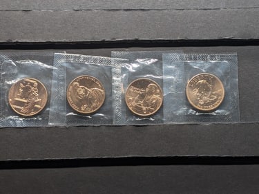 2007 First Spouse Bronze Medal Set