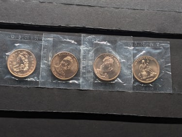 2008 First Spouse Bronze Medal Set