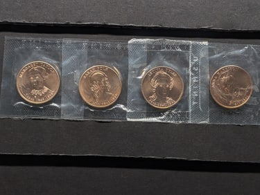 2009 First Spouse Bronze Medal Set - Missing Julia Tyler