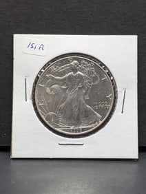 1996 American Silver Eagle. The key.?