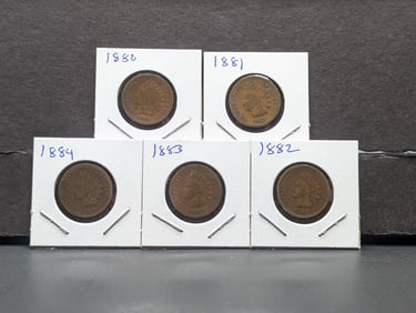 1880, 81, 82, 83, and 84 Indian Head Cents. Average circulated. No culls/corrosion.?