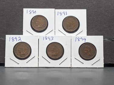1890, 91, 92, 93, and 94 Indian Head Cents. Average circulated. No culls/corrosion.?