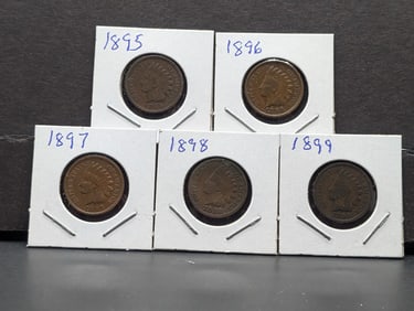 1895, 96, 97, 98, and 99 Indian Head Cents. Average circulated. No culls/corrosion.?