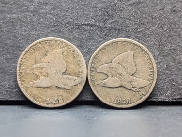 Two Flying Eagles: 1858 Small and Large Letters. Very nice circulated and original.?