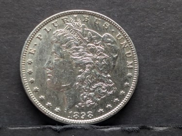 1898 Morgan Silver Dollar