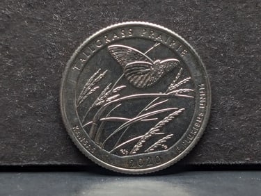 2020 W Tall Grass with Privy Mark ATB quarter. Scarce.?