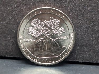 2020 W Salt River Bay with Privy Mark ATB quarter. Scarce.?