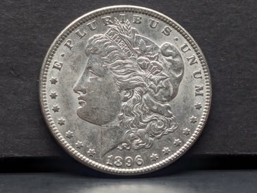 1896 Morgan Silver Dollar