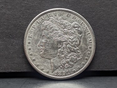 1891 Morgan Silver Dollar