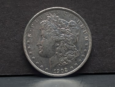1902-P Morgan Silver Dollar