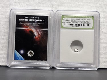 Authentic Campo del Cielo Argentina Meteor Shower & Meteorite Space Rock