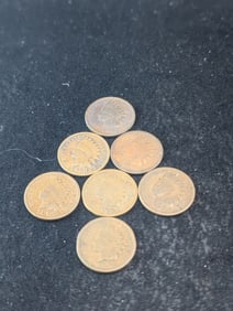 7- Indian Head Pennies w/ various dates??