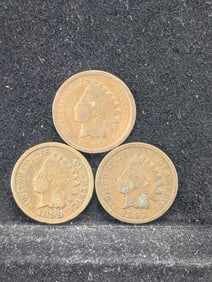 (3 Coins) 1891, 96, & 99 Indian Head Cents
