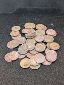 50-1880s and 1900s Indian Head Cents with some better dates. Nice mix.?