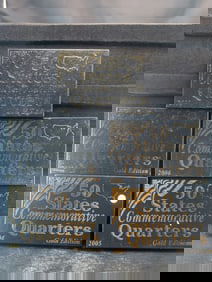 2004-2008-50-States Commemorative quarters Gold Edition???
