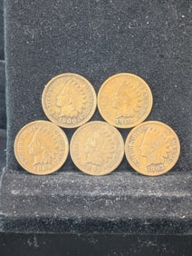 (5 Coins) 1901, 02, 03, 04, & 05 Indian Head Cents