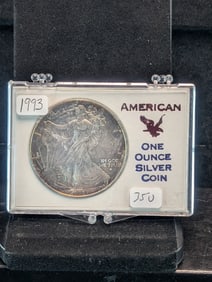 1993 Better Date Silver Eagle Coin in protective holder with edge toning. Pretty Coin.?