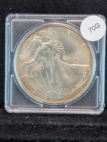 1996-Silver Eagle Bright & Flashy??