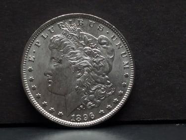 1896 Morgan Silver Dollar