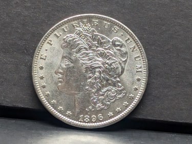 1896 Morgan Silver Dollar