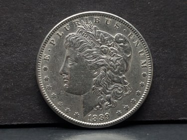 1889 Morgan Silver Dollar