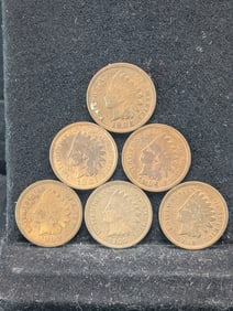 6-Indian Head Penny- 1901, 02, 04, 06, 07 & 1908?