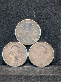 3- Colorized Washington quarters- Fredrick Douglas, Tuskegee Airman and Maya Angelou????