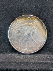 1996 Silver Eagle gold toning??