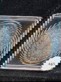 1882-P- Morgan Silver Dollar- w/ gold toning- Bright & Flashy??
