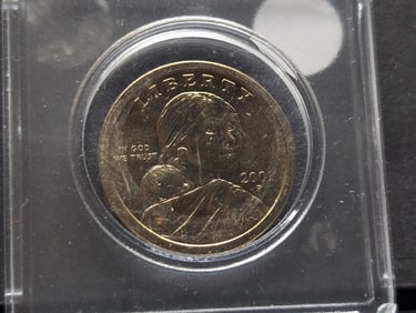 2001-P Sacagawea Dollar