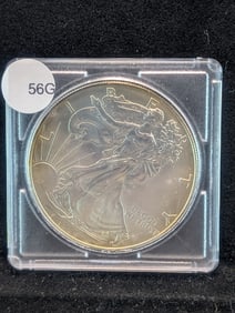 1996- Silver Eagle- w/ Gold toning around Rim- Closely UNC??