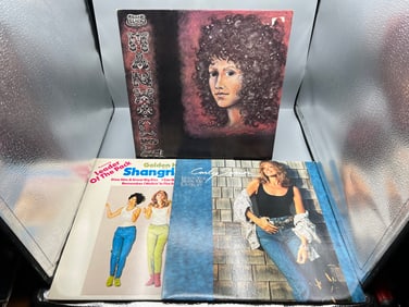 Lot of (3) Assorted Vinyl Albums - Varying Conditions