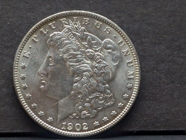 1902-P Morgan Silver Dollar - GEM BU