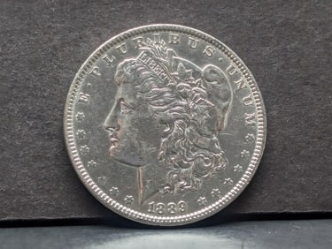 1889 Morgan Silver Dollar