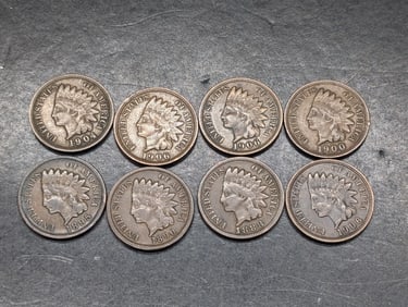 Lot of 8 Various Dated Mid Grade Indian Head Cents