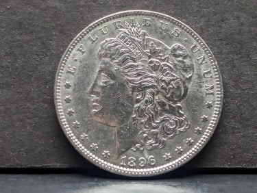 1896 Morgan Silver Dollar