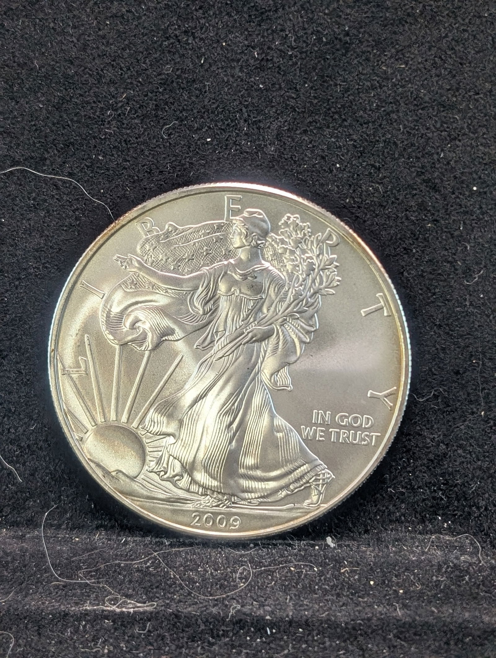 2009 Uncirculated American Silver Eagle (1 of 2)