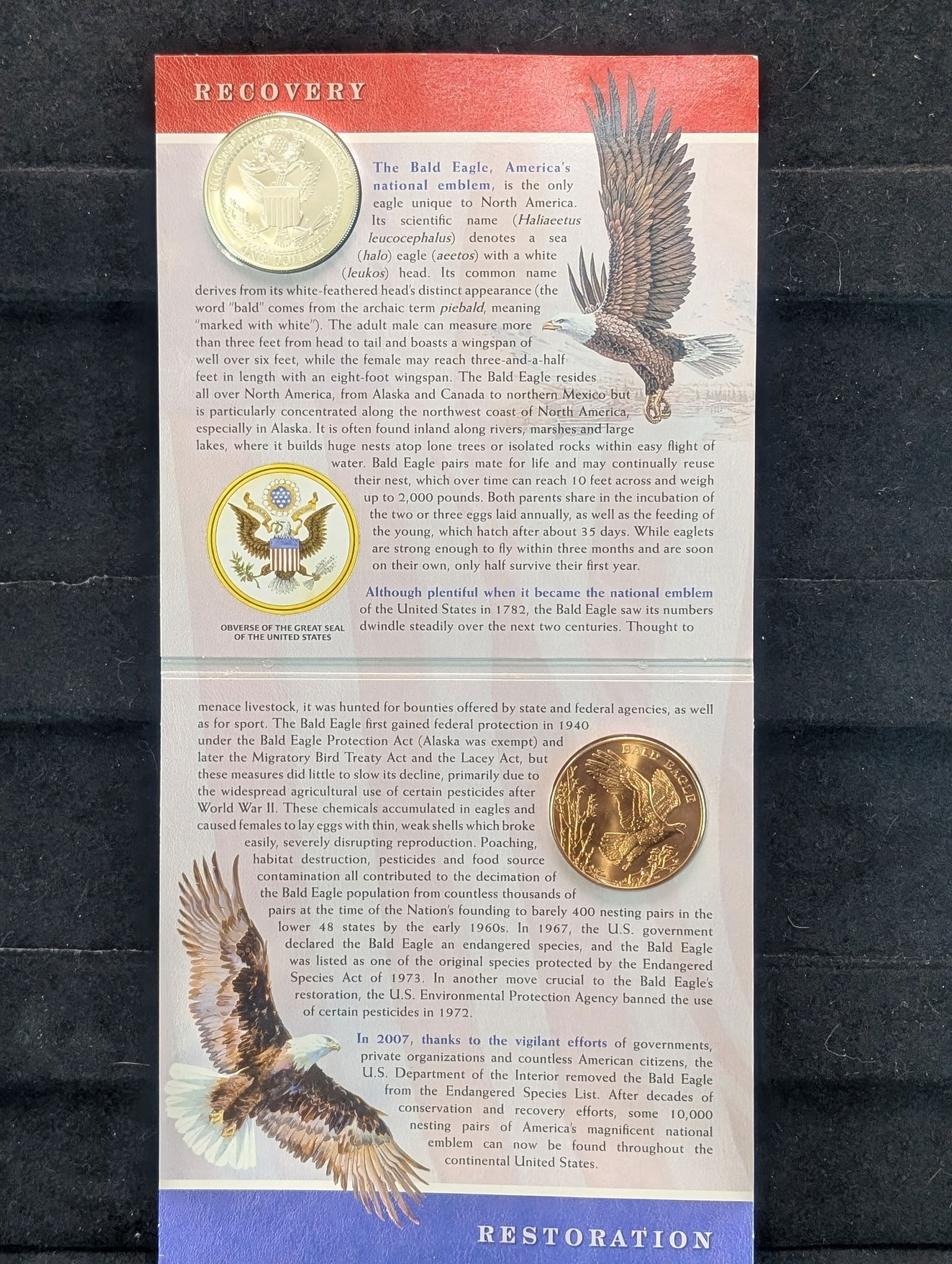 US Mint Bald Eagle Coin and Medal Set with 2008 Uncirculated Bald Eagle Silver Dollar (1 of 5)