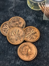 Fifty 1964 Canadian One Cents In A Plastic Tube