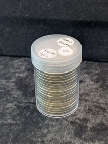 FULL ROLL 1923 Peace Silver Dollars. UNC. Lustrous Coins!