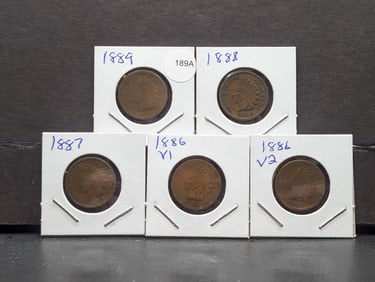 1886 Type 1, 86 Type 2, 87, 88, and 89 Indian Cents. Average circulated. Not junk.