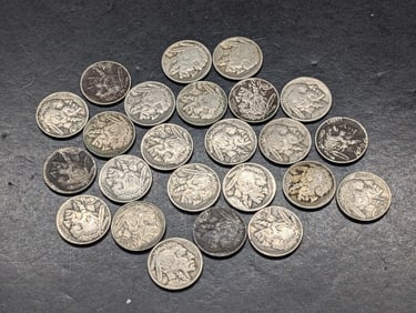 (24) Buffalo Nickels    most good