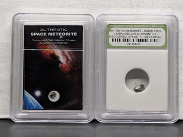 Authentic Campo del Cielo Argentina Meteor Shower & Meteorite Space Rock