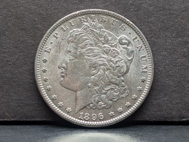 1896 Morgan Silver Dollar